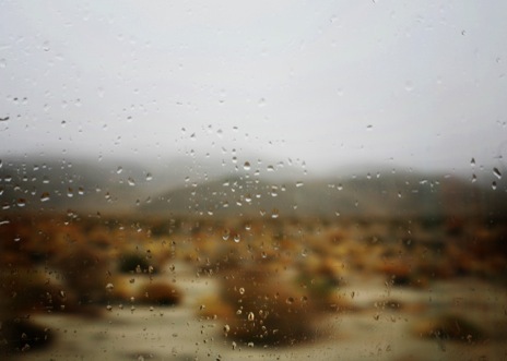 desert rain.jpg