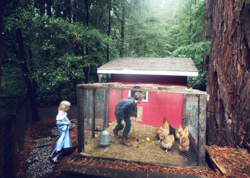 feeding the chickens_bloggallery.jpg
