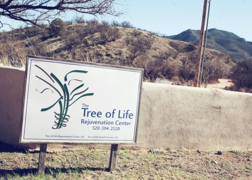 tree of life sign.jpg